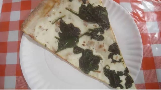 White Spinach Slice.
